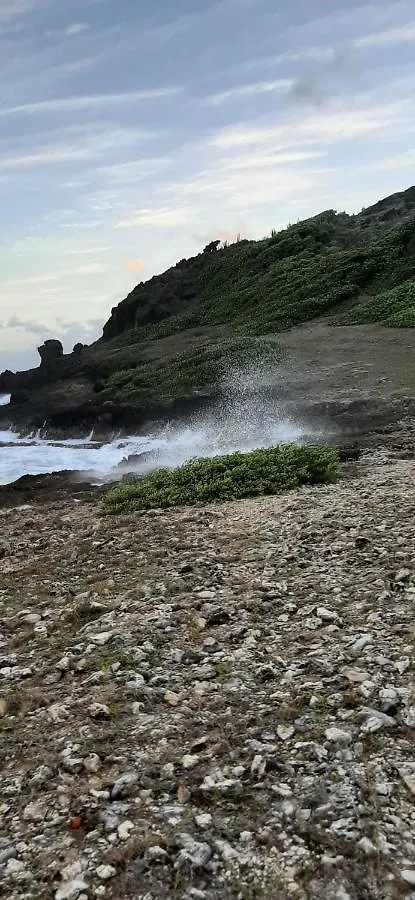 Zen Paradise 圣安尼 瓜德罗普