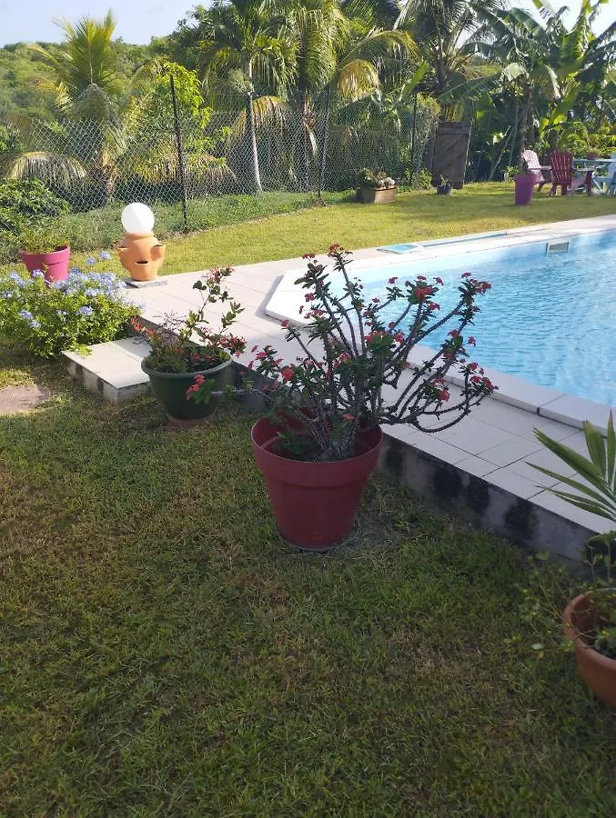 Zen Paradise 圣安尼
