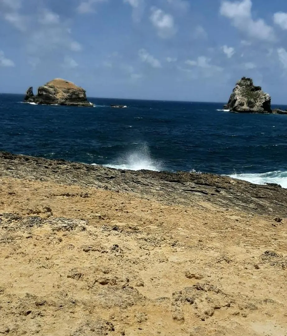 Zen Paradise 圣安尼 公寓
