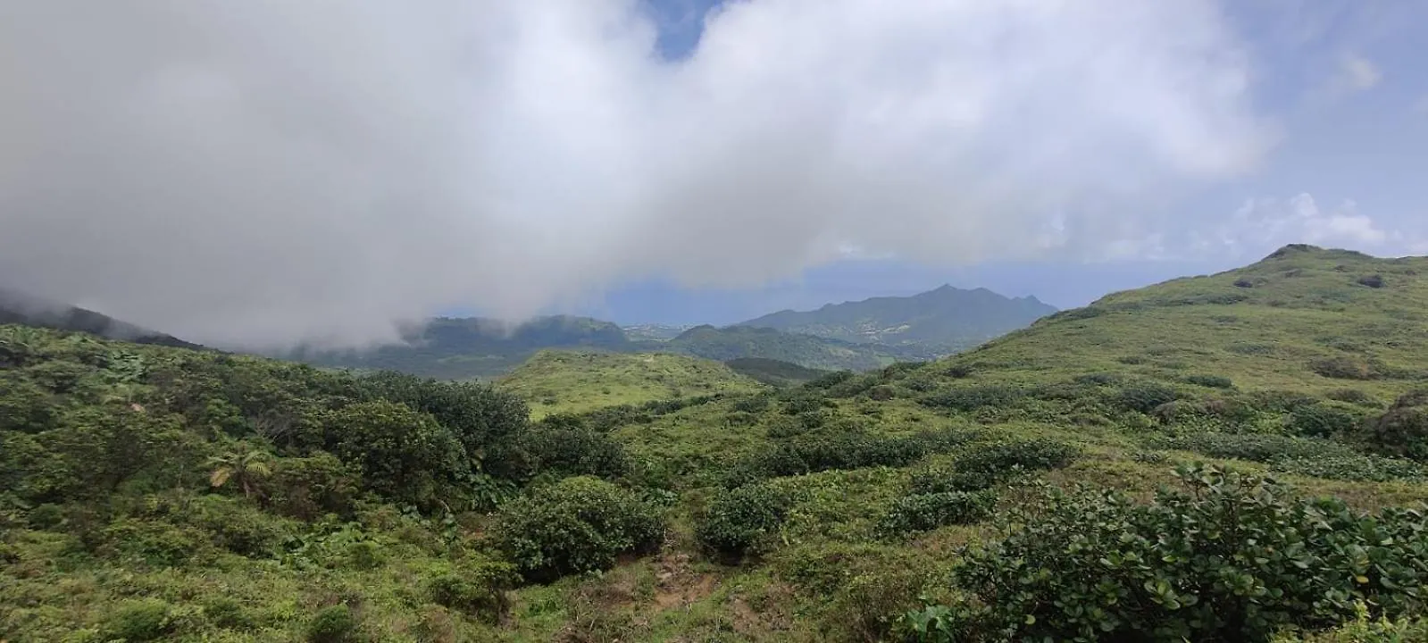 Zen Paradise 圣安尼 公寓